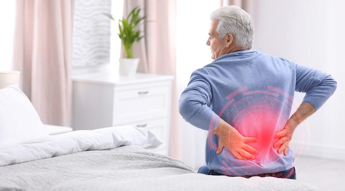 Best Mattress for Back Pain in India Shinysleep Shinysleep